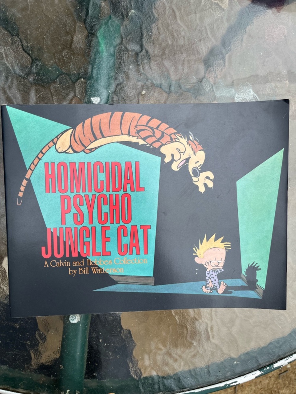 Homicidal Psycho Jungle Cat Calvin and Hobbes Book Bill Watterson Collection